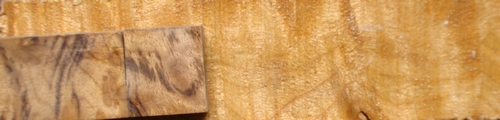 DSC05613.JPG